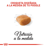BHN POODLE ADULT - CROQUETA.png